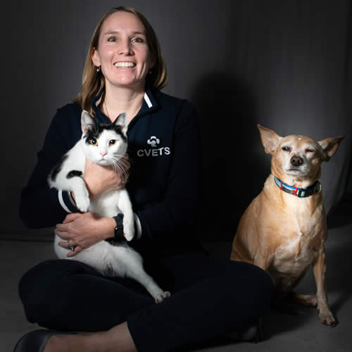 Recent Corporate Headshot Photography