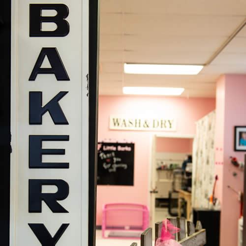 Recent Business Photography